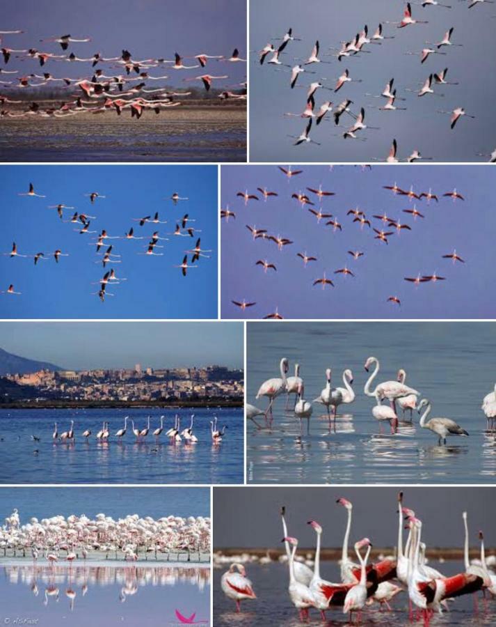 Bed and Breakfast Al Corso Cagliari Esterno foto